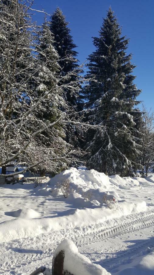 Wanderhuette Zum Bernhardsthal Villa Eksteriør billede